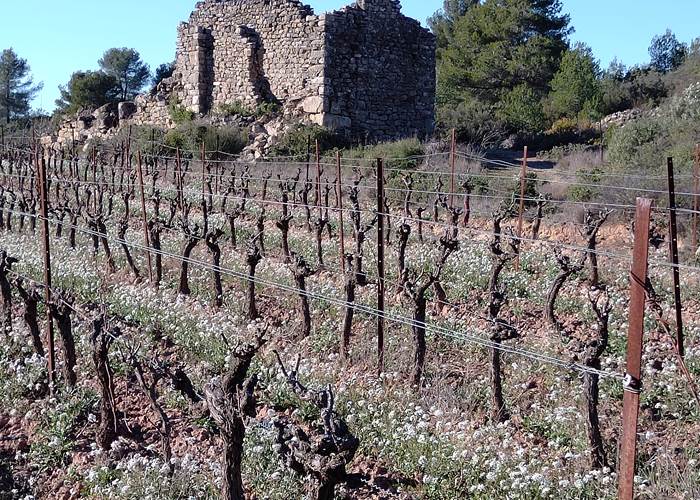 Superbe randonnée alliant nature et histoire de Mailhac