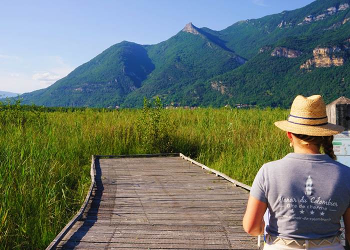 Marais de Lavours (Ain) : réserve naturelle avec vue sur le Grand Colombier, au cœur du Bugey