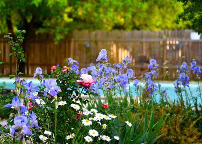 Jardin du Mas des Bories