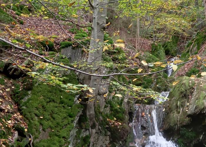 La cascade de Haldeboeuf