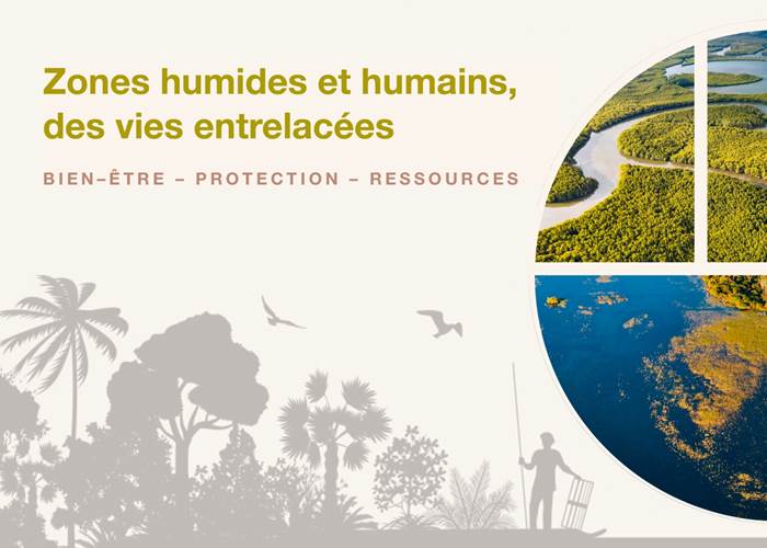 Abbartello kayak Sa 11 fevrier 2024 10H-12H RDV Port de Porto Pollo