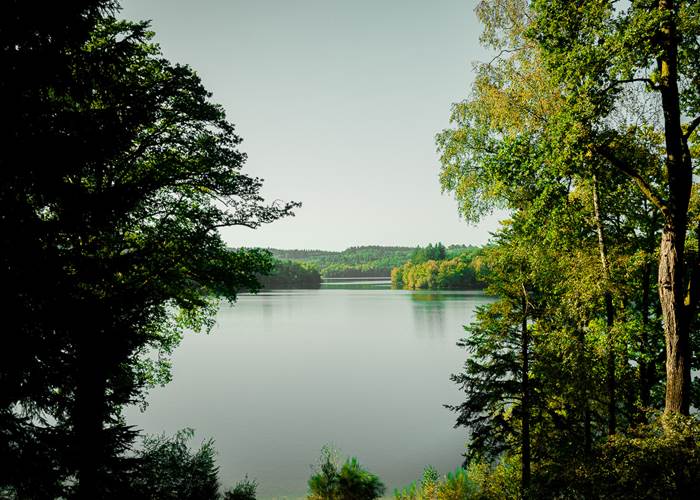 ©Alexis ARNAUD Lac de Saint Pardoux