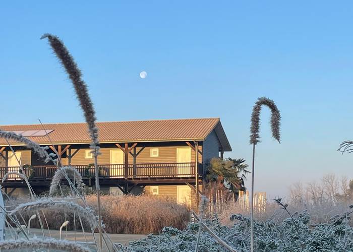 Hiver en Chalosse