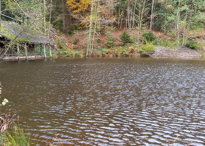 Etang de Chawion à Creppe