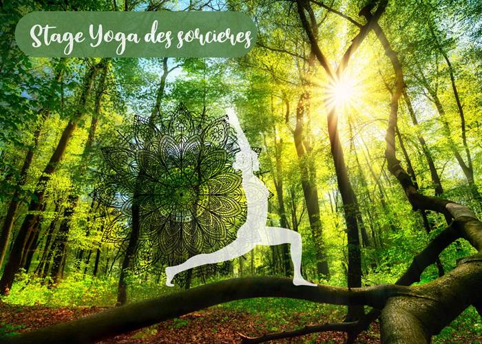 Yogistes en Forêt-page