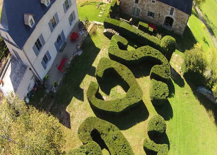 Vue aérienne sur les buis centenaires