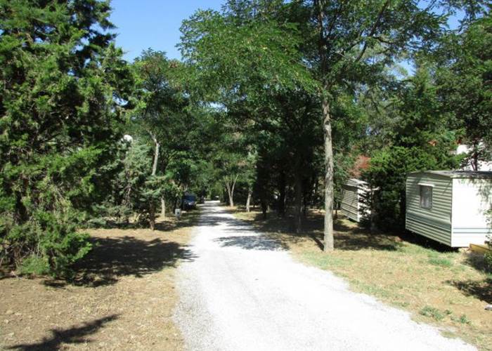 allée camping