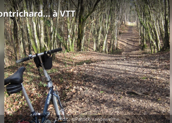 Forêt de Montrichard en vélo