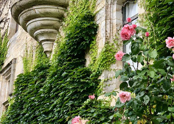 Chateau de Saint Chamarand - Exterieur, terasse et jardin