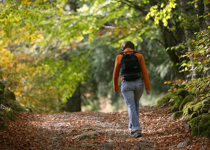 Pierre SOISSONS  Correze Tourisme
