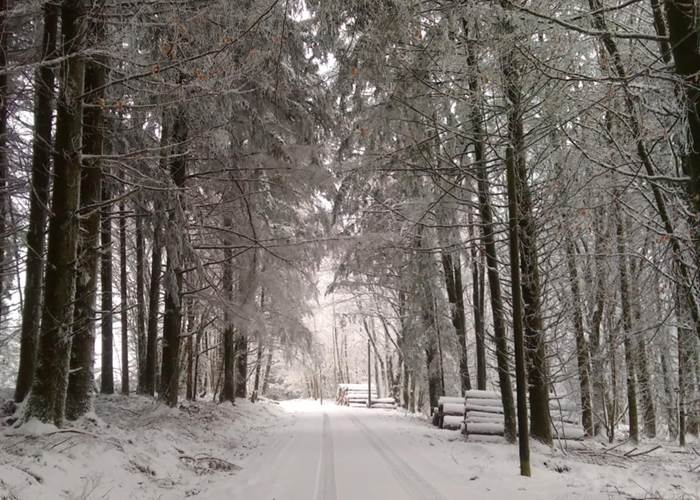 st goussaud sous la neige