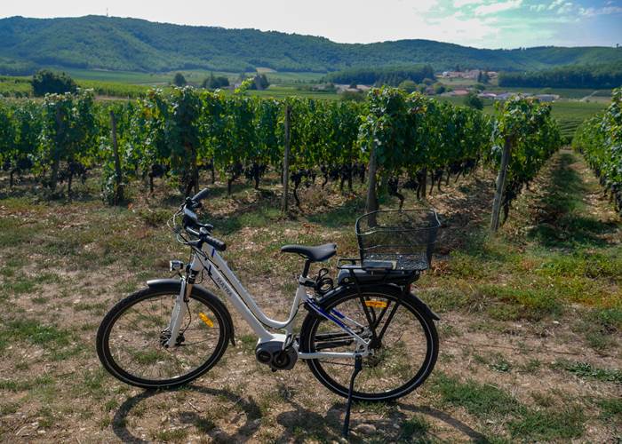 Vinocycle au Clos Triguedina Lot Tourisme - C. Seguy