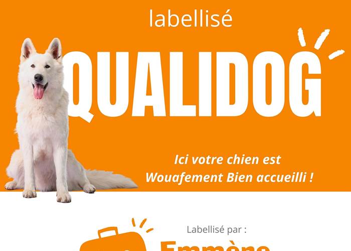 Label Qualidog pour un accueil dogfriendly