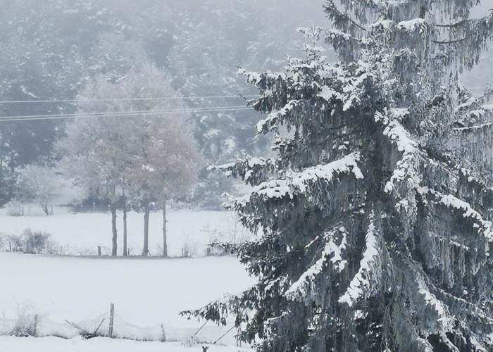Paysage enneigé
