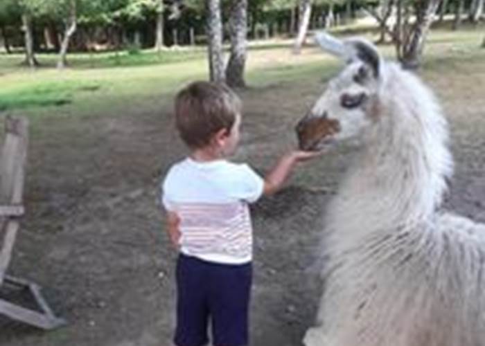 On peut même les nourrir