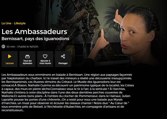 Les Ambassadeurs (RTBF)