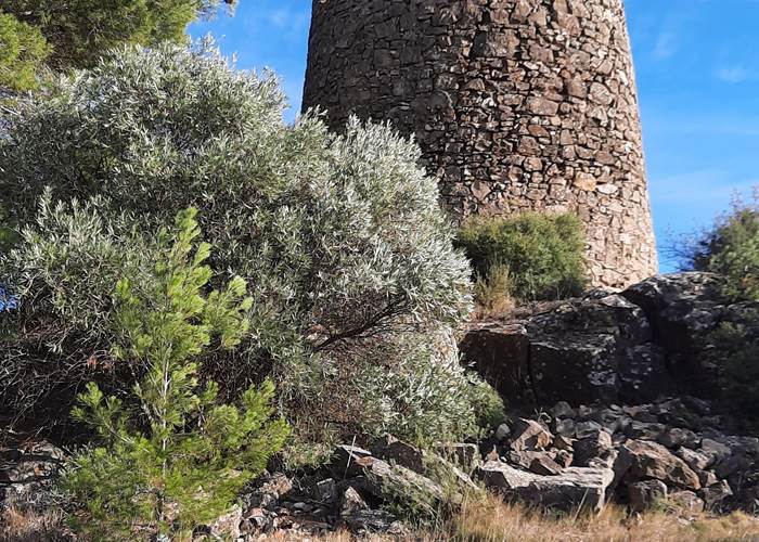 vestiges archéologiques Mailhac