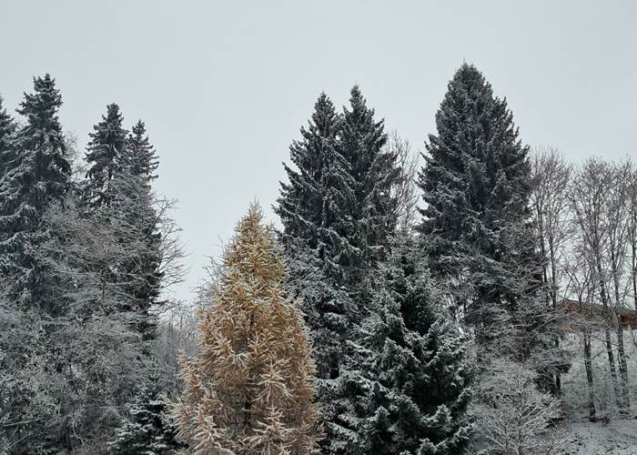 Quand l'hiver se mélange à l'automne