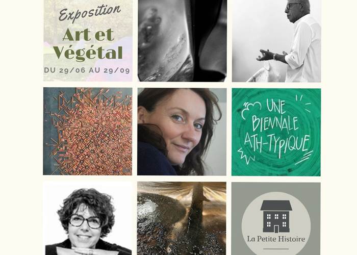 Exposition Biennale Art et Végétal - Ath - été 2024