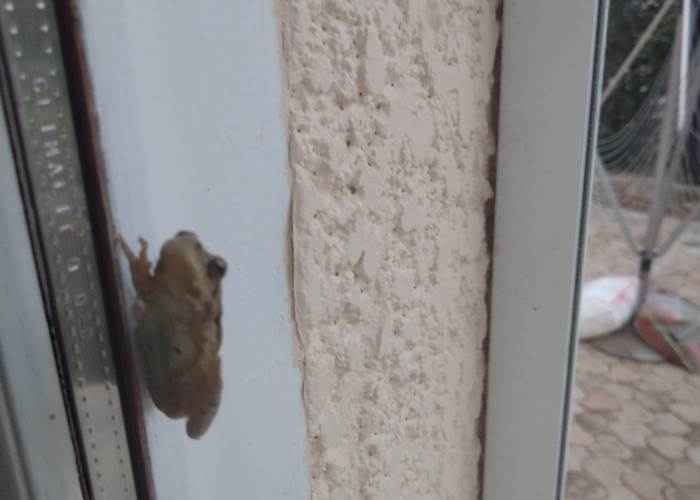 Retour à la nature à Le Coq du Nord-Mailhac gîte et chambres d'hôtes