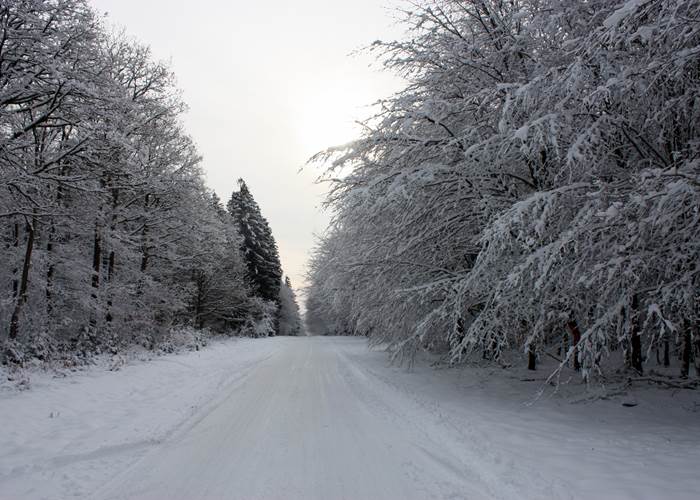 Route de Bouillon