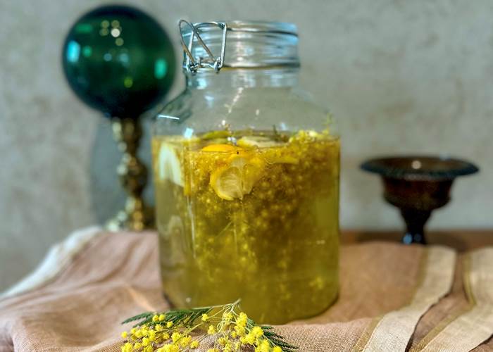 pétillant au mimosa en préparation pour nos hôtes