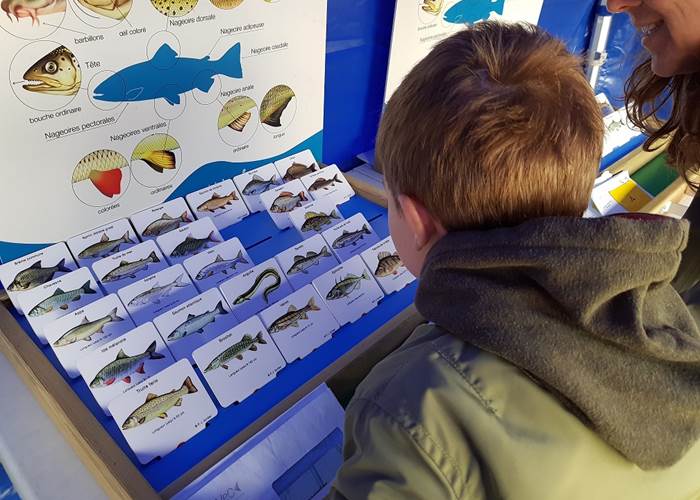 atelier-nature-ecole