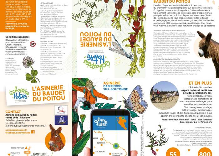 Sans titre