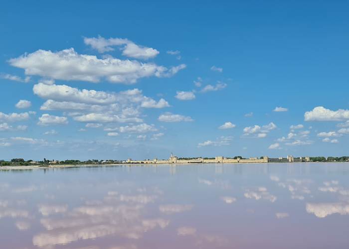 L'étang rose de la Ville