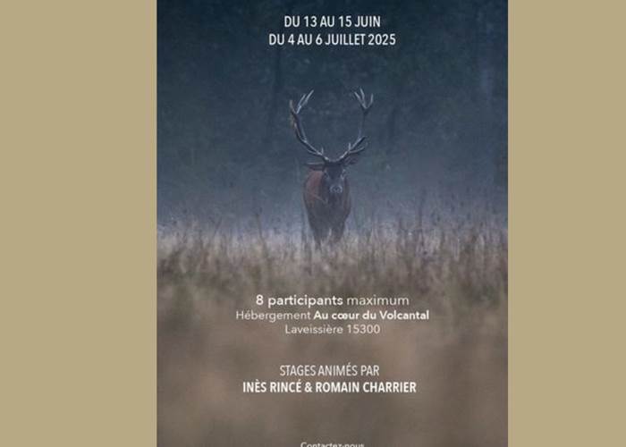 Sans titre