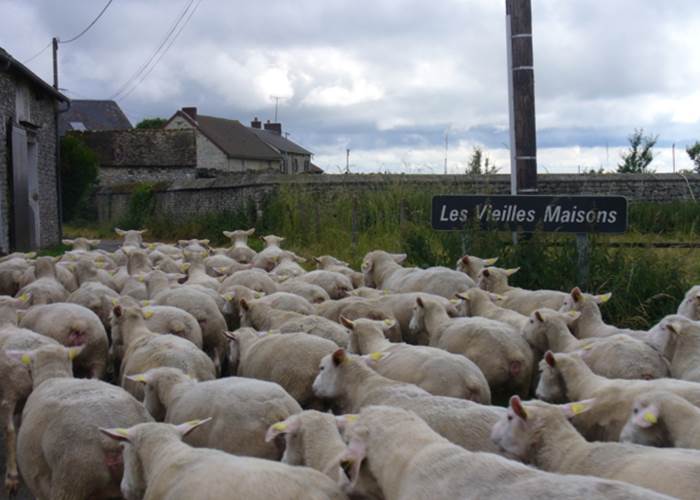 Ferme des vieilles maisons