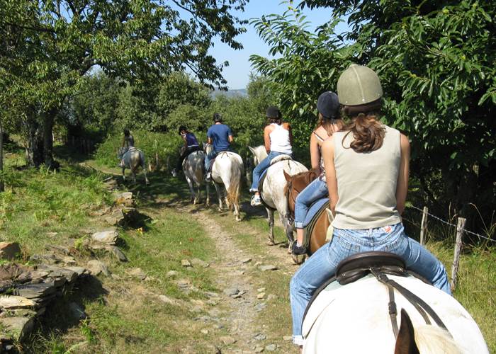 Activités_initiation rando équestre