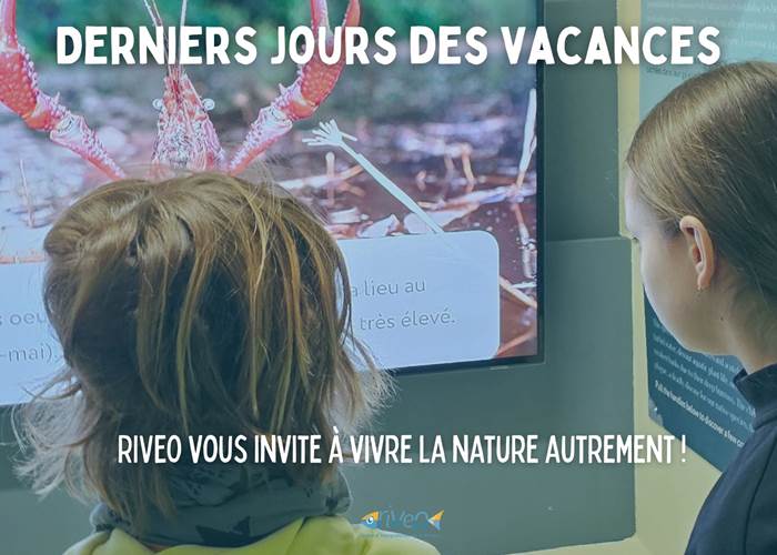 sortie-famille-decouverte-nature-durbuy-riveo