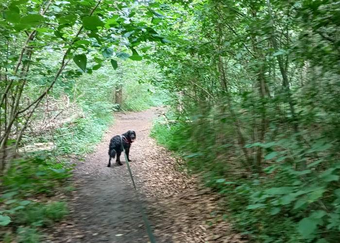 Balade nature- région de Chimay- Parc ESEM