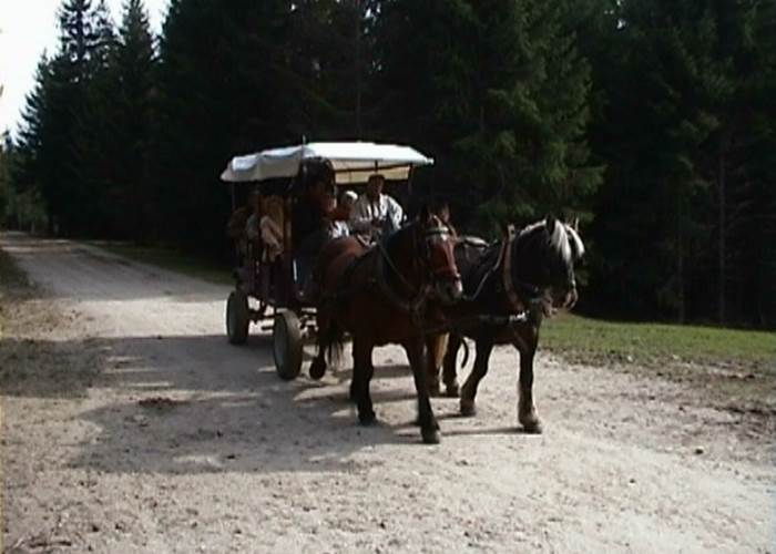 CALECHE