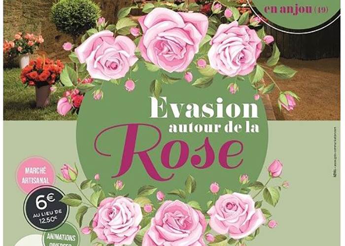 Evasion autour de la rose