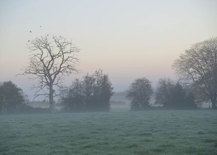 Insolites Chimay aube