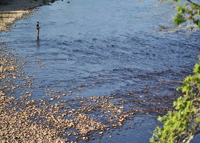 Pêcher dans la Dordogne