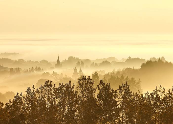 bocage dans la brume