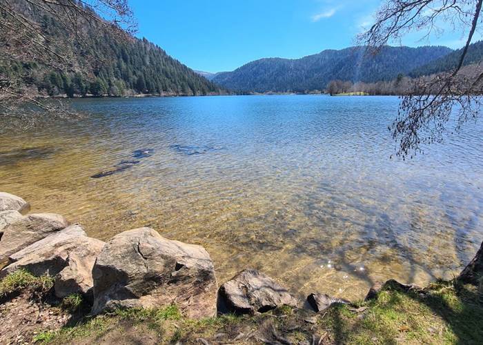 Lac de Longemer, Vosges-page