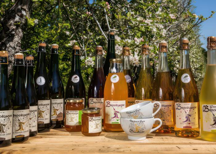 Le Cidre fermier du Pays de Brocéliande