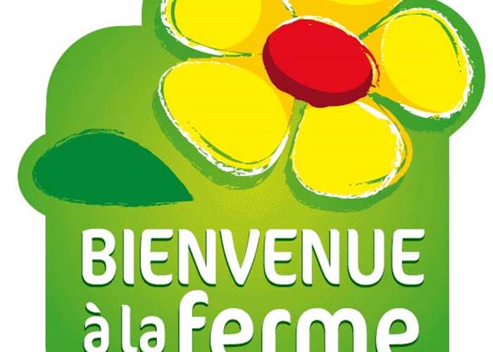 Sans titre