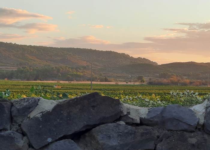 Vues magnifiques à partir du Coq du Nord-Mailhac