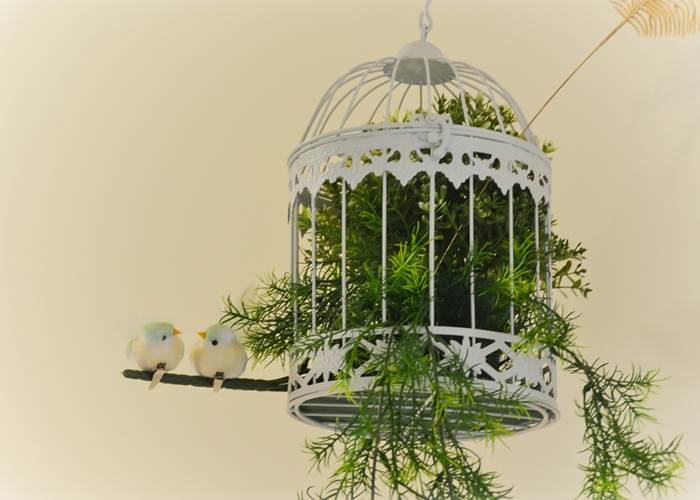 La Naturaleza 47-chambres-d-hotes-hotel-valencia-xativa-16-2