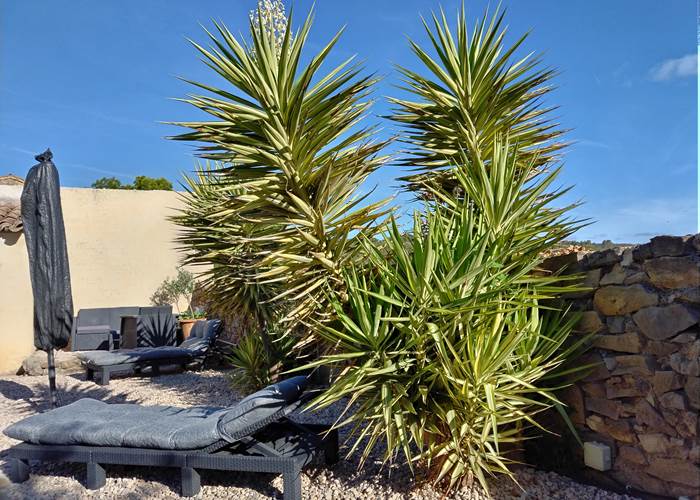 Détente totale à Le Coq du Nord-Mailhac