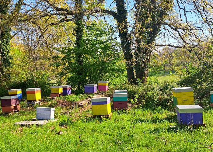 Rucher INYAQAB Dordogne Miel du Périgord