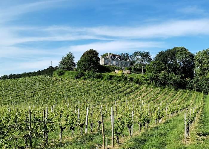 Château Mazeris Bellevue