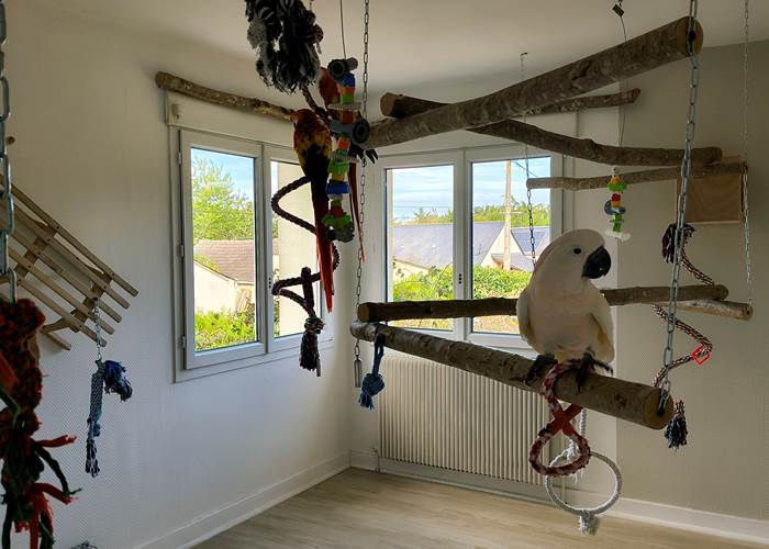 volière intérieure perroquets maison d’hôtes La Flèche