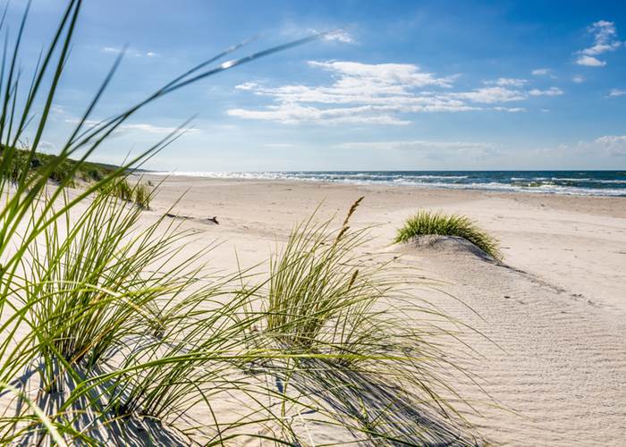 La-cotentine-manche-chambre-hotes-mont-Michel-2