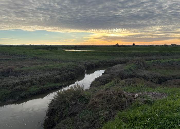 Marais de la Seudre à Port Paradis à Nieulle sur Seudre en Charente Maritime